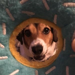 Meet your Posher, Maren